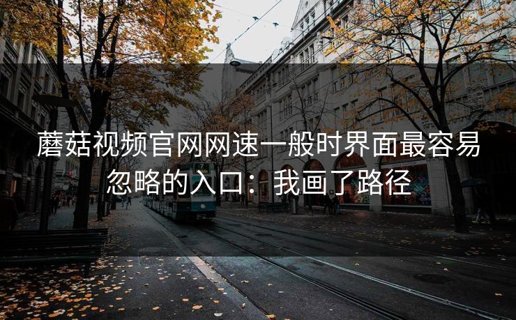 蘑菇视频官网网速一般时界面最容易忽略的入口：我画了路径