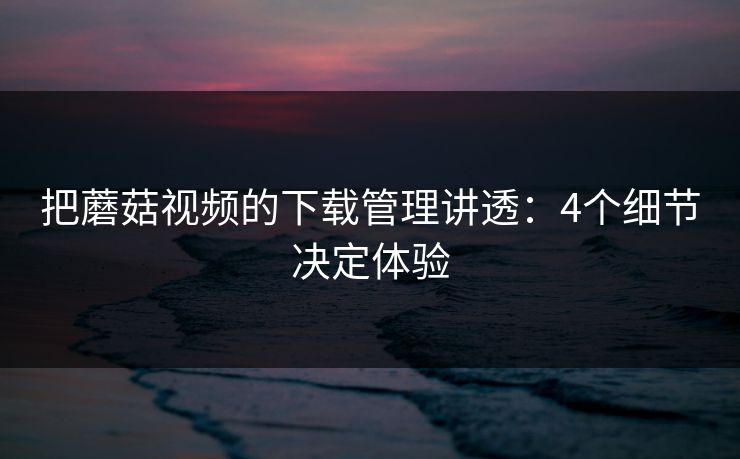 把蘑菇视频的下载管理讲透：4个细节决定体验