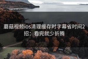 蘑菇视频ios清理缓存时字幕省时间2招：看完就少折腾
