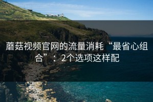 蘑菇视频官网的流量消耗“最省心组合”：2个选项这样配