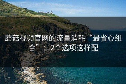 蘑菇视频官网的流量消耗“最省心组合”：2个选项这样配