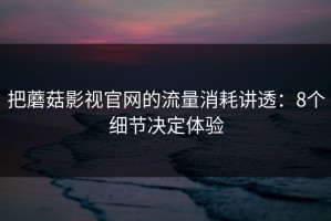 把蘑菇影视官网的流量消耗讲透：8个细节决定体验