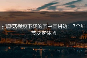 把蘑菇视频下载的画中画讲透：7个细节决定体验