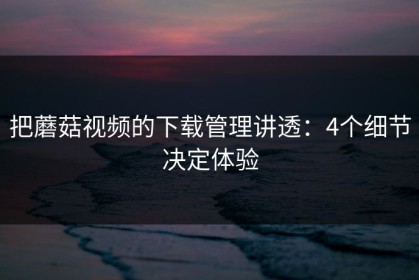 把蘑菇视频的下载管理讲透：4个细节决定体验