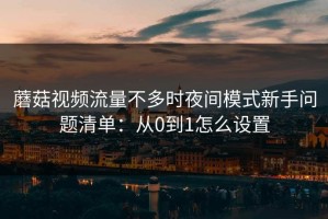 蘑菇视频流量不多时夜间模式新手问题清单：从0到1怎么设置