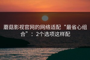 蘑菇影视官网的网络适配“最省心组合”：2个选项这样配