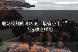 蘑菇视频的清晰度“最省心组合”：2个选项这样配