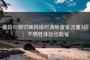 蘑菇视频切换网络时清晰度省流量3招：不牺牲体验也能省