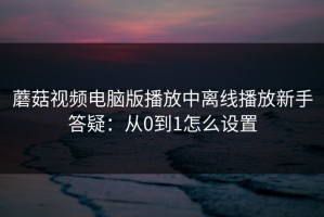 蘑菇视频电脑版播放中离线播放新手答疑：从0到1怎么设置