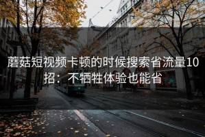 蘑菇短视频卡顿的时候搜索省流量10招：不牺牲体验也能省