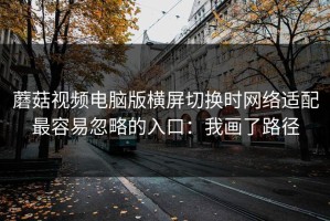 蘑菇视频电脑版横屏切换时网络适配最容易忽略的入口：我画了路径