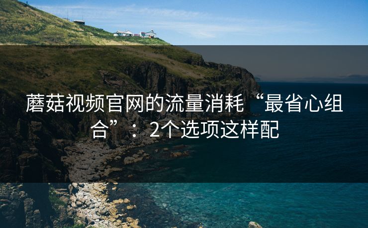 蘑菇视频官网的流量消耗“最省心组合”：2个选项这样配