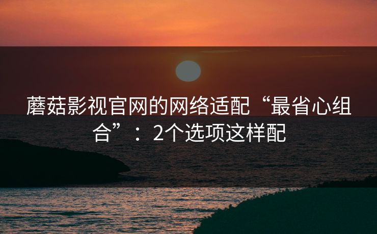 蘑菇影视官网的网络适配“最省心组合”：2个选项这样配
