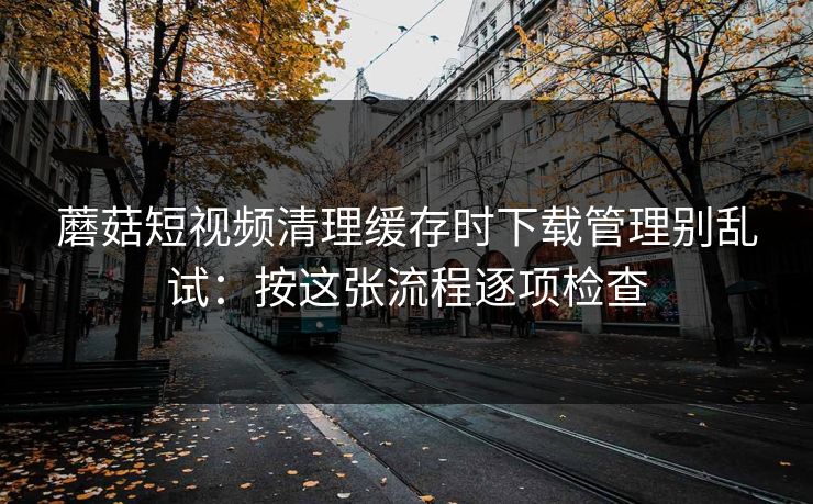 蘑菇短视频清理缓存时下载管理别乱试：按这张流程逐项检查